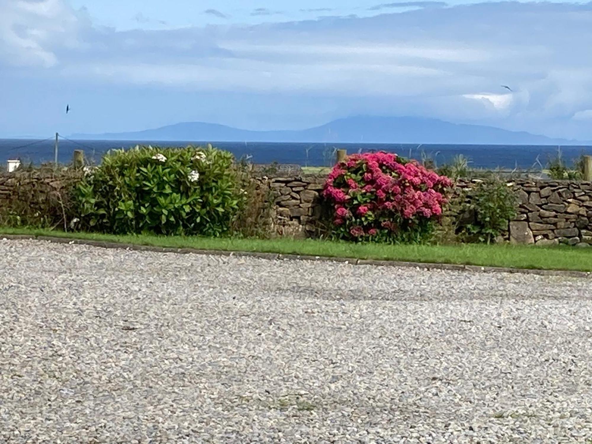 Wild Atlantic Cabin Apartment Sligo Exterior photo